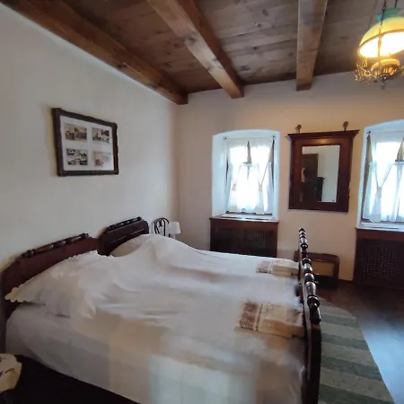 Villa Rauber Baron Cottage-traditional Comfort House Talisoara