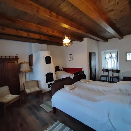 Villa Rauber Baron Cottage-traditional Comfort House Talisoara