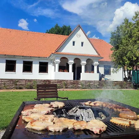 Villa Rauber Baron Cottage-traditional Comfort House Talisoara